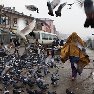 Bilder Golshifteh Farahani