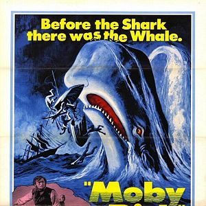 Bilder Moby Dick