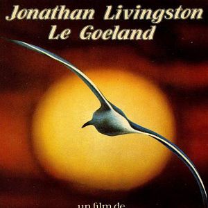 Bilder Die Möwe Jonathan