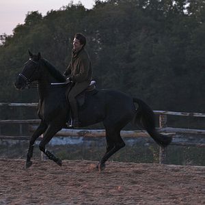 Bilder Guillaume Canet