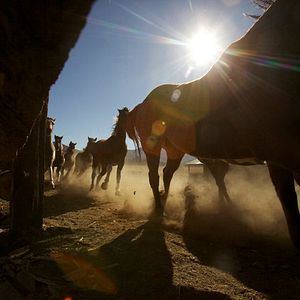 Bilder Heathens and Thieves - Das Glück ist mit dem Bösen