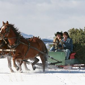 Bilder Heartland - Ein Paradies für Pferde: Der Film