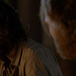 Bilder The Last Days