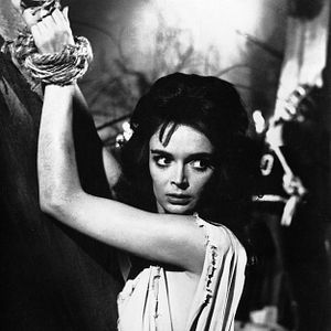 Bilder Die Stunde wenn Dracula kommt