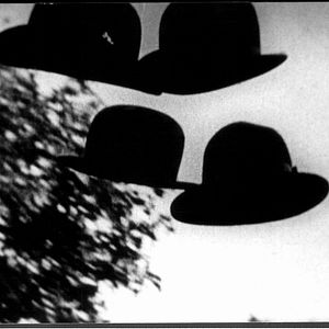 Bilder Free Radicals