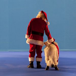Bilder Santa Pfote 2 - Die Weihnachts-Welpen