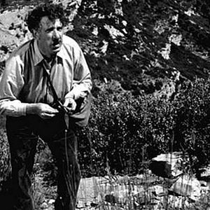 Bilder Manon of the spring