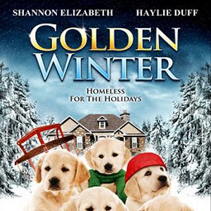 Bilder Golden Winter - Wir suchen ein Zuhause ...