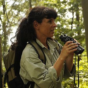 Bilder Geheimnisse des Waldes