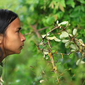 Bilder Lord of the Elves - Das Zeitalter der Halblinge