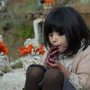 Bilder Violeta Parra