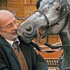 Bilder Kad svane dan