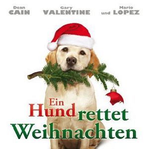 Bilder Ein Hund rettet Weihnachten