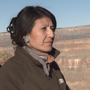 Bilder California Dream 3D