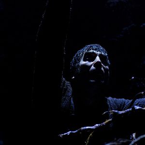 Bilder Timothy Gibbs