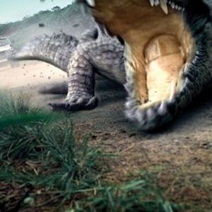 Bilder Million Dollar Crocodile - Die Jagd beginnt