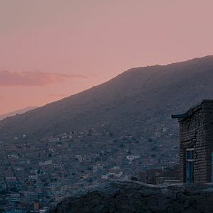 Bilder The Black Tulip