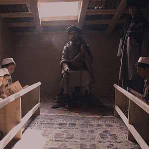 Bilder The Black Tulip