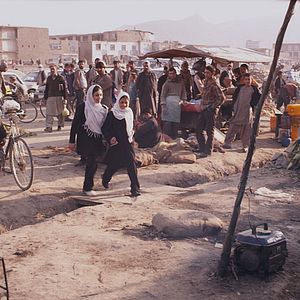 Bilder The Black Tulip