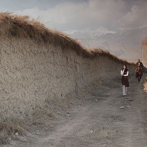 Bilder The Black Tulip