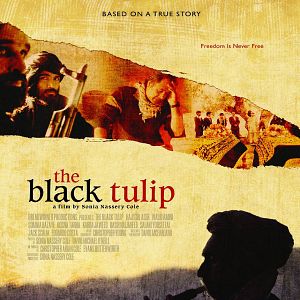 Bilder The Black Tulip