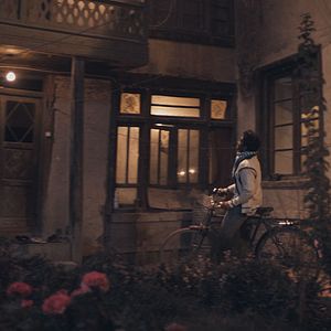 Bilder The Black Tulip