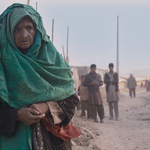 Bilder The Black Tulip