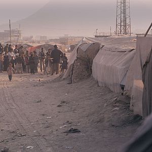 Bilder The Black Tulip