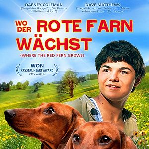 Bilder Wo der rote Farn wächst