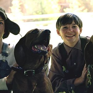 Bilder Wo der rote Farn wächst