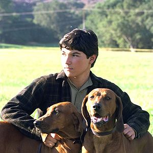 Bilder Wo der rote Farn wächst
