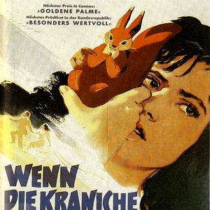 Bilder Wenn die Kraniche ziehen