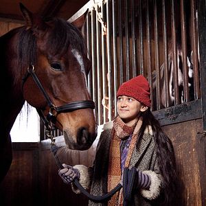 Bilder Das Pferd auf dem Balkon