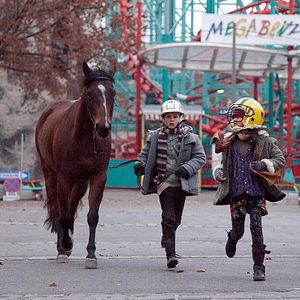 Bilder Das Pferd auf dem Balkon