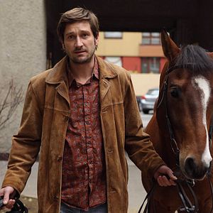 Bilder Das Pferd auf dem Balkon