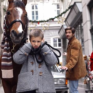 Bilder Das Pferd auf dem Balkon