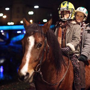 Bilder Das Pferd auf dem Balkon