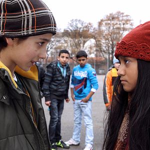 Bilder Das Pferd auf dem Balkon
