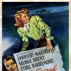 Bilder Die Wendeltreppe