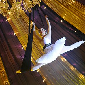 Bilder Sophie & Shiba