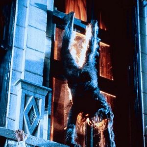 Bilder Mein Nachbar, der Vampir