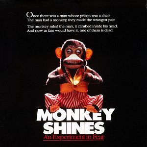 Bilder Der Affe im Menschen