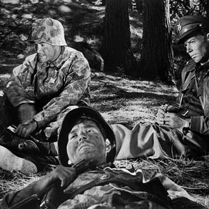 Bilder Fear and Desire