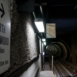 Bilder Trains Of Thoughts