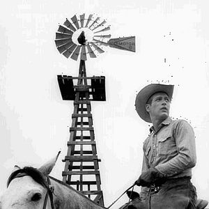 Bilder Der Wildeste unter Tausend