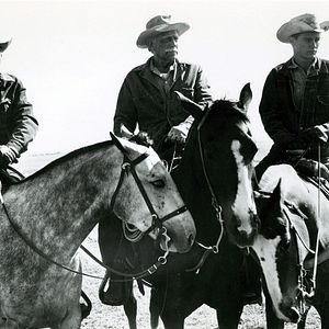 Bilder Melvyn Douglas