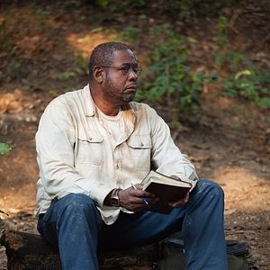 Bilder Die dunkle Wahrheit