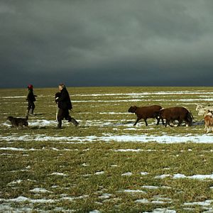 Bilder Winternomaden