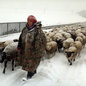 Bilder Winternomaden