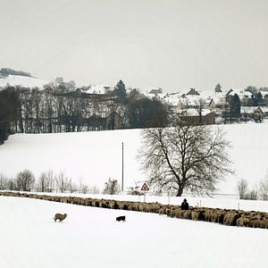 Bilder Winternomaden